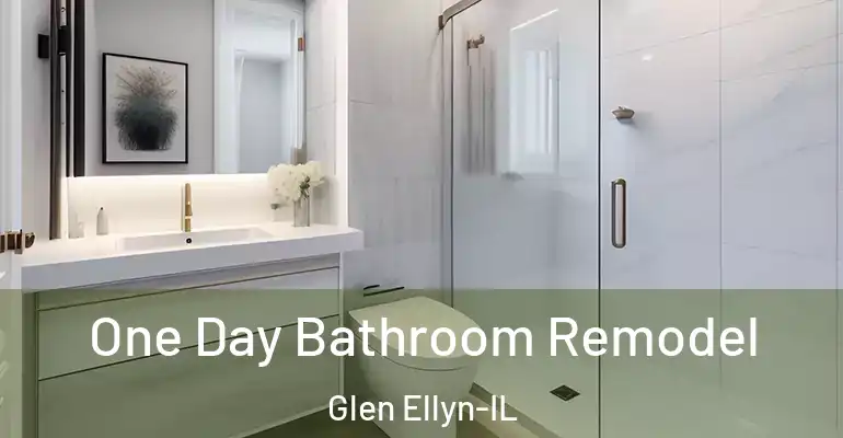 inner Bathroom imggen One Day Bathroom Remodel Glen Ellyn-IL