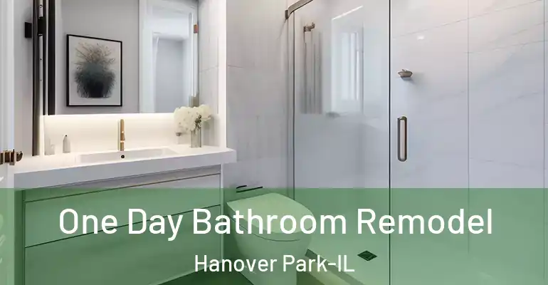inner Bathroom imggen One Day Bathroom Remodel Hanover Park-IL