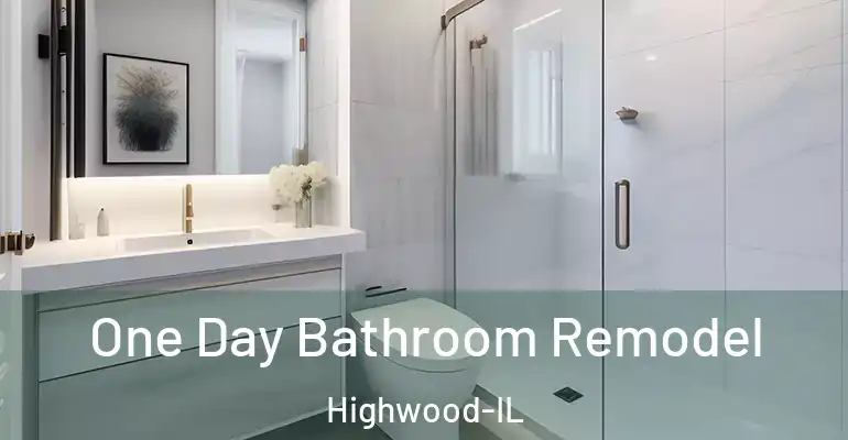 inner Bathroom imggen One Day Bathroom Remodel Highwood-IL