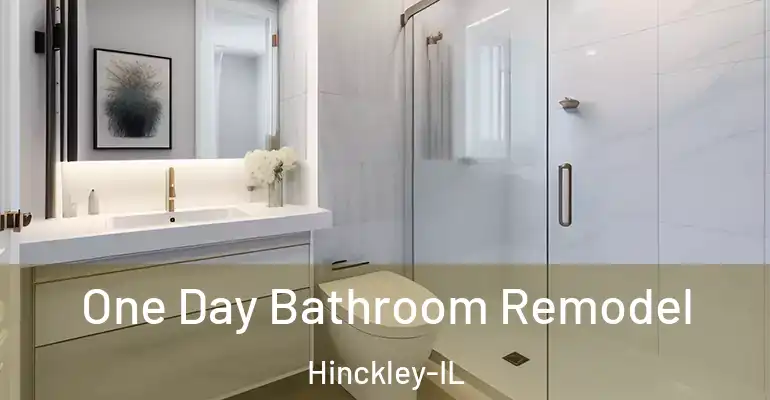 inner Bathroom imggen One Day Bathroom Remodel Hinckley-IL