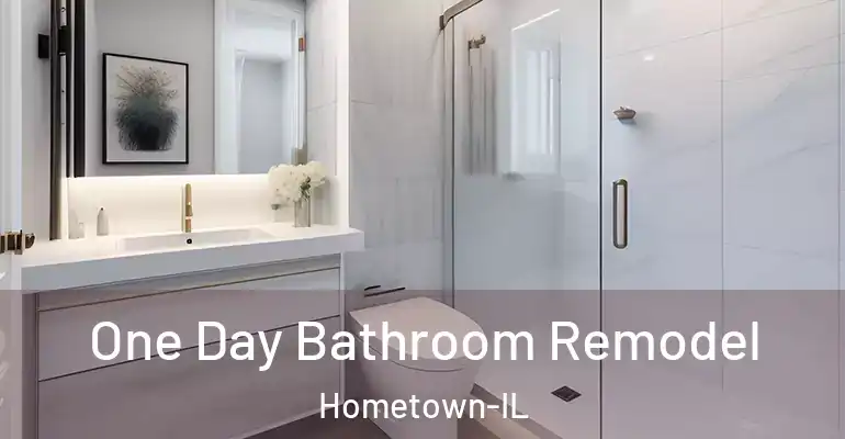 inner Bathroom imggen One Day Bathroom Remodel Hometown-IL