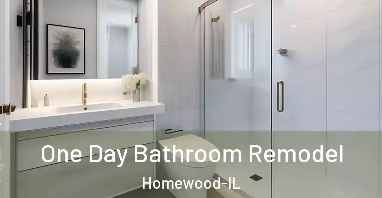 inner Bathroom imggen One Day Bathroom Remodel Homewood-IL