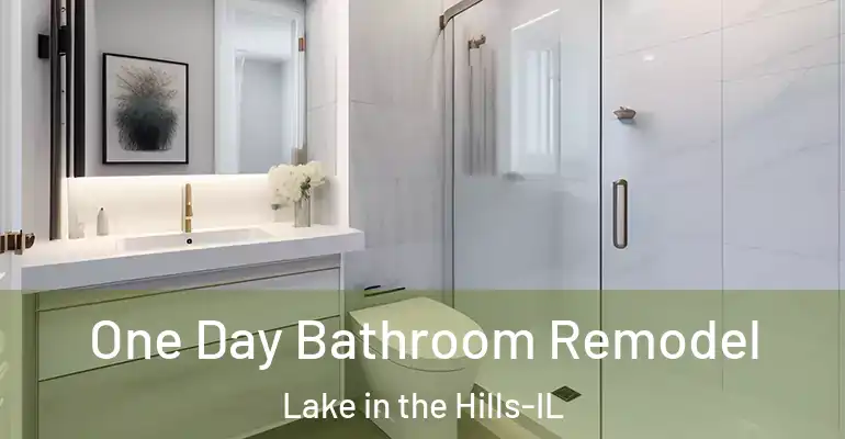 inner Bathroom imggen One Day Bathroom Remodel Lake in the Hills-IL