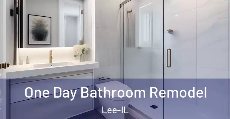 inner Bathroom imggen One Day Bathroom Remodel Lee-IL