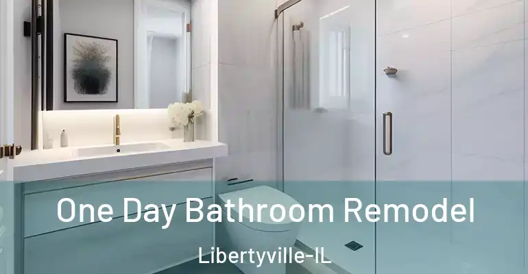inner Bathroom imggen One Day Bathroom Remodel Libertyville-IL
