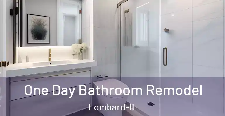 inner Bathroom imggen One Day Bathroom Remodel Lombard-IL