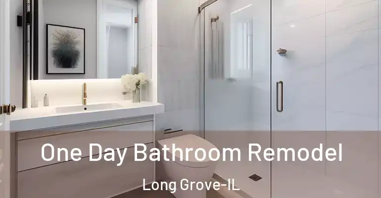 inner Bathroom imggen One Day Bathroom Remodel Long Grove-IL