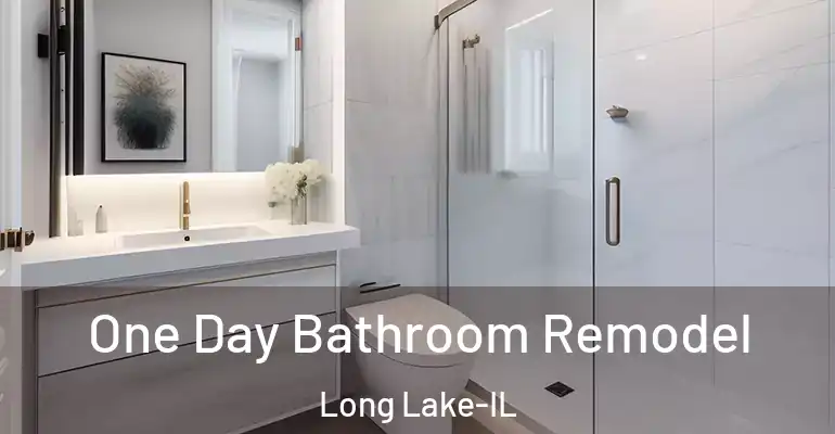 inner Bathroom imggen One Day Bathroom Remodel Long Lake-IL