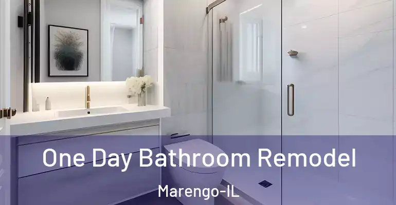 inner Bathroom imggen One Day Bathroom Remodel Marengo-IL