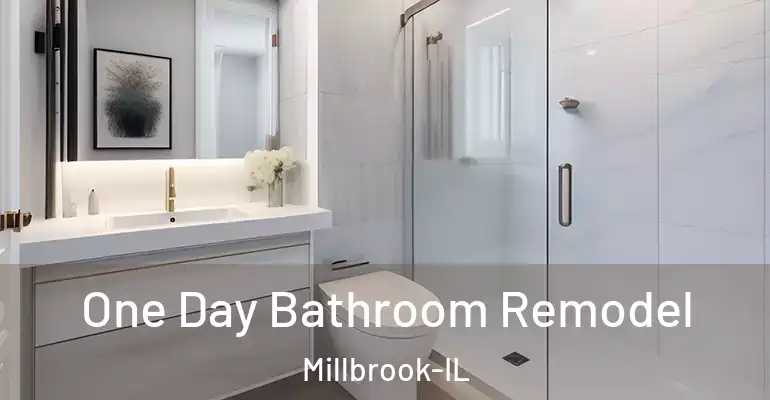 inner Bathroom imggen One Day Bathroom Remodel Millbrook-IL