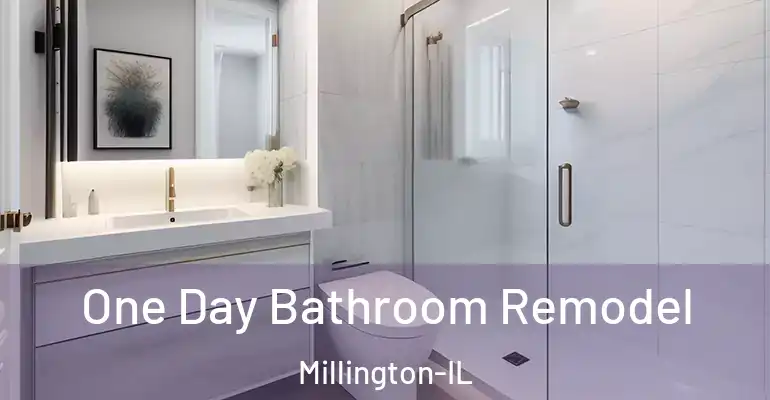 inner Bathroom imggen One Day Bathroom Remodel Millington-IL