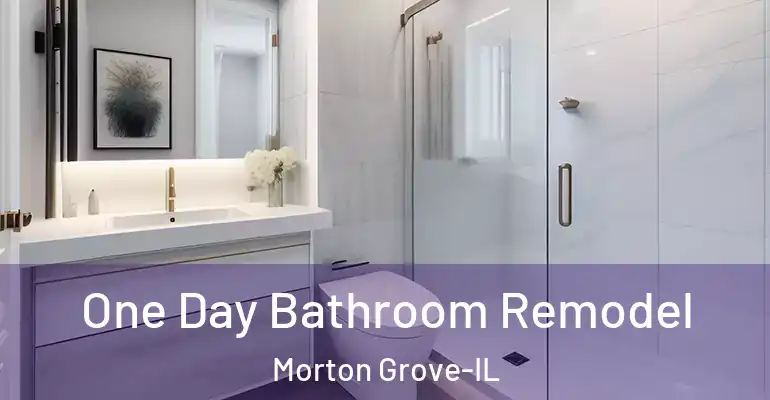 inner Bathroom imggen One Day Bathroom Remodel Morton Grove-IL
