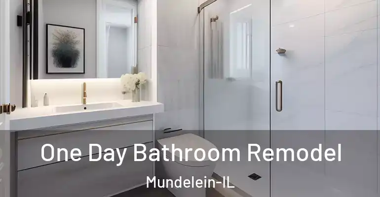 inner Bathroom imggen One Day Bathroom Remodel Mundelein-IL