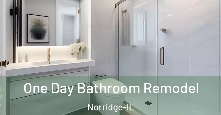 inner Bathroom imggen One Day Bathroom Remodel Norridge-IL