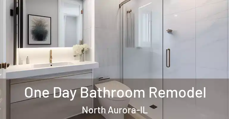 inner Bathroom imggen One Day Bathroom Remodel North Aurora-IL