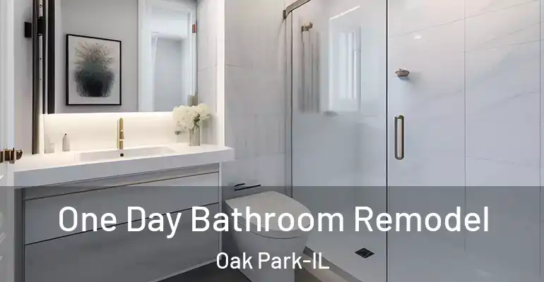 inner Bathroom imggen One Day Bathroom Remodel Oak Park-IL