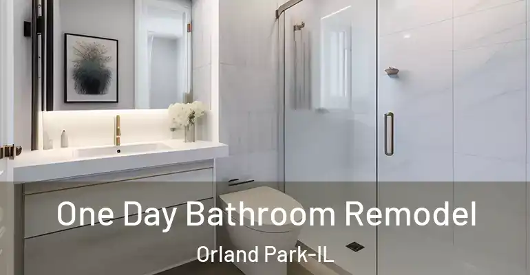 inner Bathroom imggen One Day Bathroom Remodel Orland Park-IL