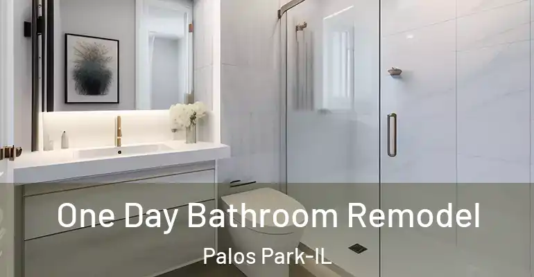 inner Bathroom imggen One Day Bathroom Remodel Palos Park-IL