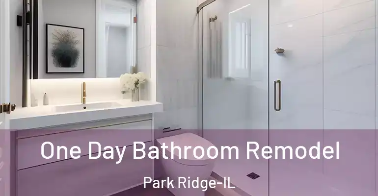 inner Bathroom imggen One Day Bathroom Remodel Park Ridge-IL