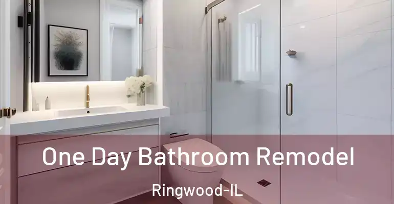 inner Bathroom imggen One Day Bathroom Remodel Ringwood-IL