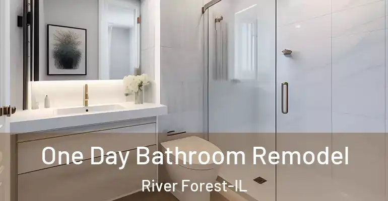 inner Bathroom imggen One Day Bathroom Remodel River Forest-IL