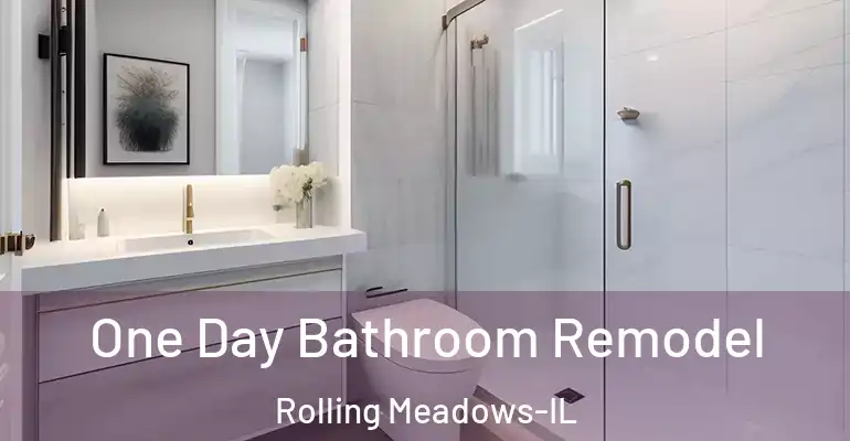 inner Bathroom imggen One Day Bathroom Remodel Rolling Meadows-IL