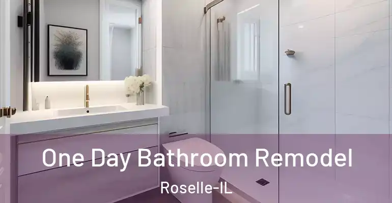 inner Bathroom imggen One Day Bathroom Remodel Roselle-IL