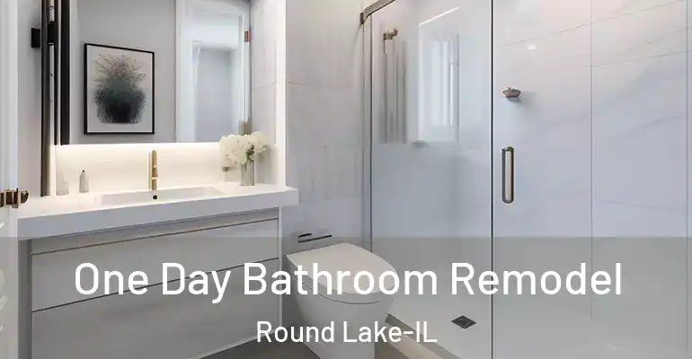 inner Bathroom imggen One Day Bathroom Remodel Round Lake-IL