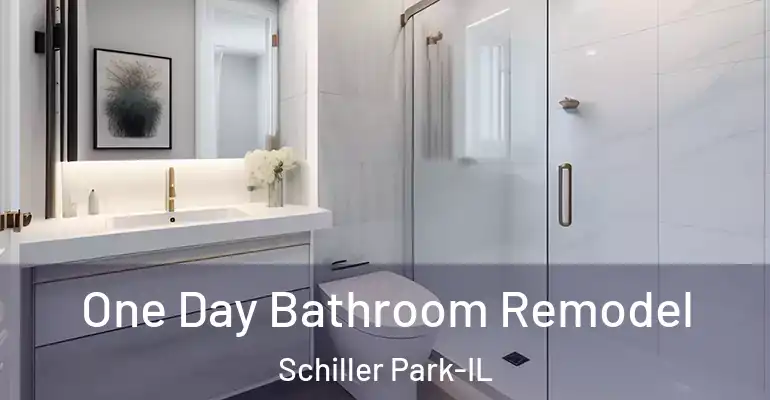 inner Bathroom imggen One Day Bathroom Remodel Schiller Park-IL