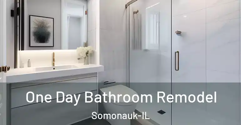 inner Bathroom imggen One Day Bathroom Remodel Somonauk-IL