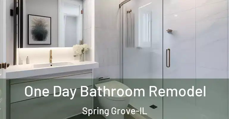 inner Bathroom imggen One Day Bathroom Remodel Spring Grove-IL
