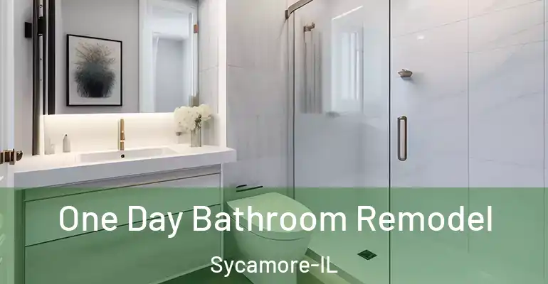 inner Bathroom imggen One Day Bathroom Remodel Sycamore-IL