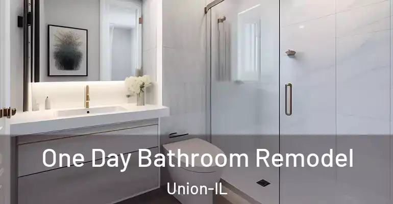inner Bathroom imggen One Day Bathroom Remodel Union-IL