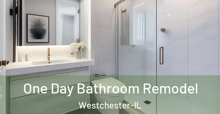 inner Bathroom imggen One Day Bathroom Remodel Westchester-IL