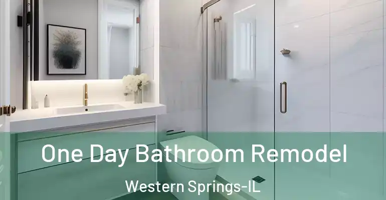 inner Bathroom imggen One Day Bathroom Remodel Western Springs-IL