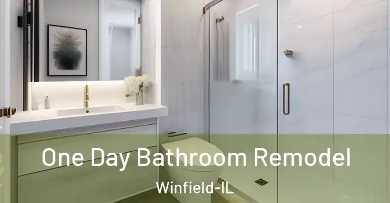 inner Bathroom imggen One Day Bathroom Remodel Winfield-IL