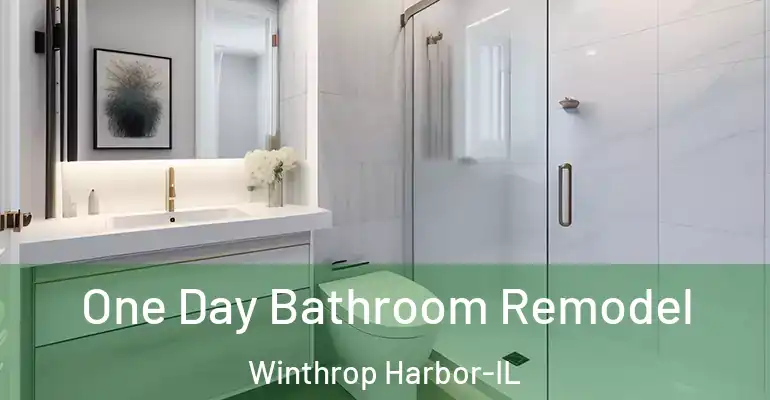 inner Bathroom imggen One Day Bathroom Remodel Winthrop Harbor-IL