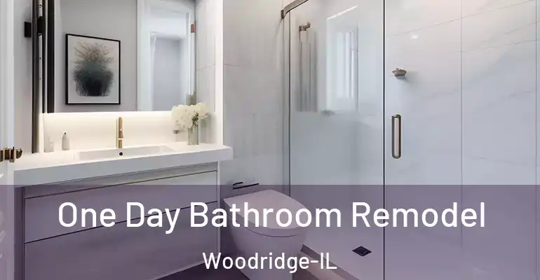 inner Bathroom imggen One Day Bathroom Remodel Woodridge-IL