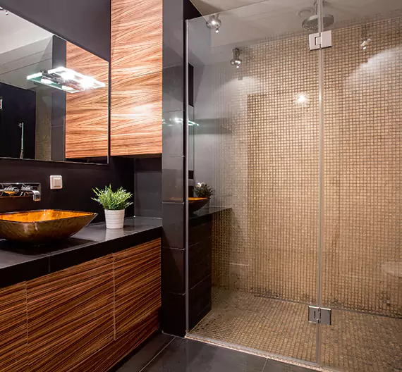 Why Choose Vista Bathroom Remodeling for Quality Tub to Shower Conversion Services in Glenview, IL?
