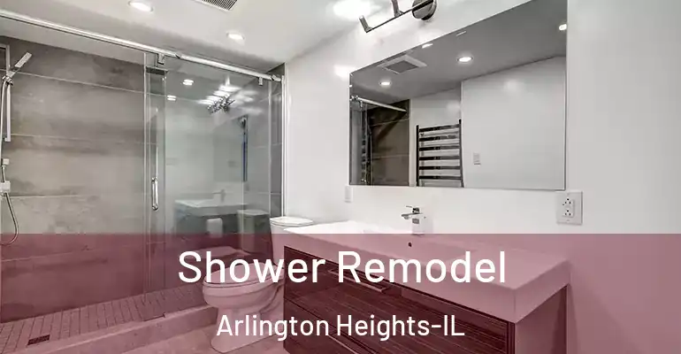 inner Bathroom imggen Shower Remodel Arlington Heights-IL