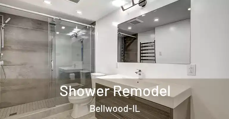 inner Bathroom imggen Shower Remodel Bellwood-IL