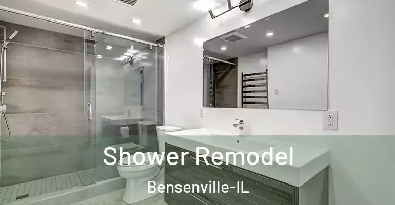 inner Bathroom imggen Shower Remodel Bensenville-IL