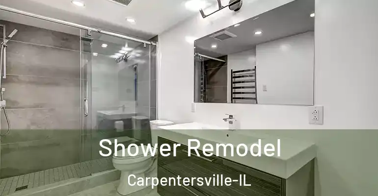 inner Bathroom imggen Shower Remodel Carpentersville-IL