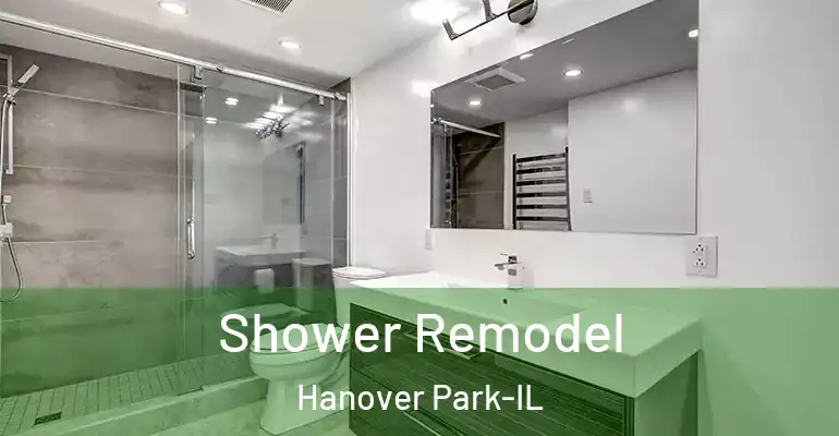 inner Bathroom imggen Shower Remodel Hanover Park-IL