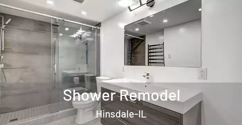 inner Bathroom imggen Shower Remodel Hinsdale-IL