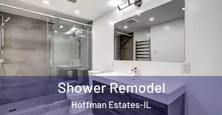 inner Bathroom imggen Shower Remodel Hoffman Estates-IL