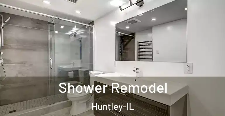 inner Bathroom imggen Shower Remodel Huntley-IL
