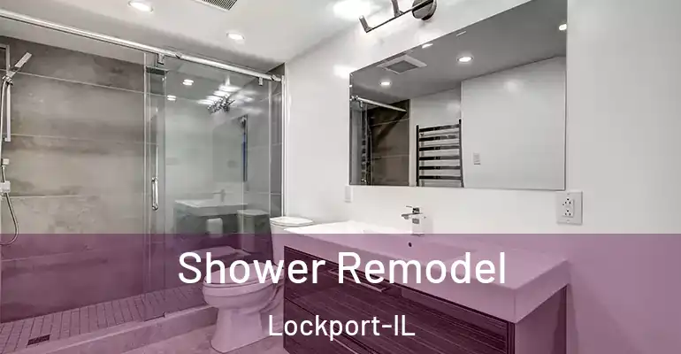 inner Bathroom imggen Shower Remodel Lockport-IL