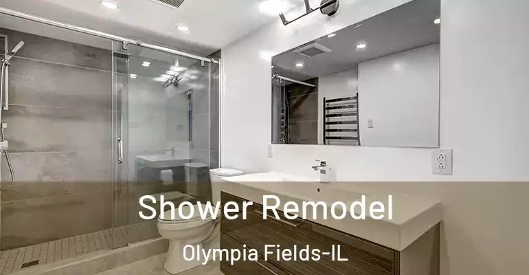inner Bathroom imggen Shower Remodel Olympia Fields-IL
