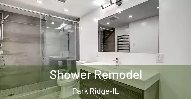 inner Bathroom imggen Shower Remodel Park Ridge-IL